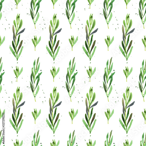 Rosemary seasoning seamless pattern. Watercolor floral plant wrapping for wallpaper design