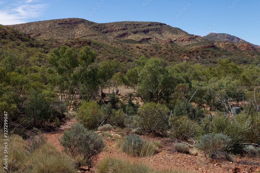 Dolina  rzeki Red Gorge, Australia