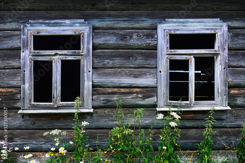 abandoned wooden home in countryside  nature  summer landscape in carpathian mountains  wildflowers and meadow  spruces on hills