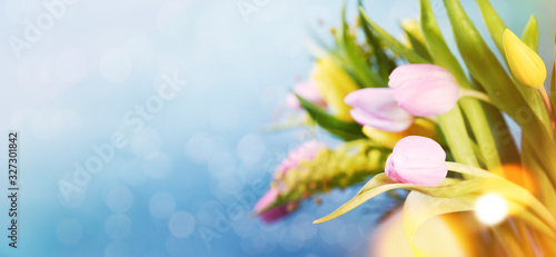 Fotografie Pink Tulips Flowers  for March 8, International Womens Day, Birthday , Valentine