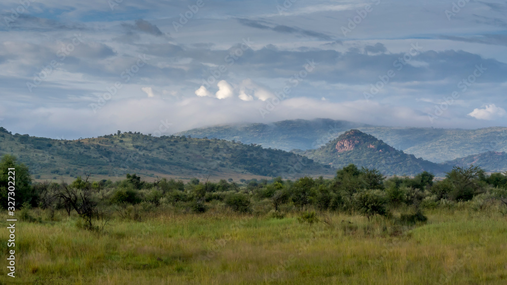 South Africa's savanna at the Pilanesberg National Park South Africa's savanna at the Pilanesberg National Park