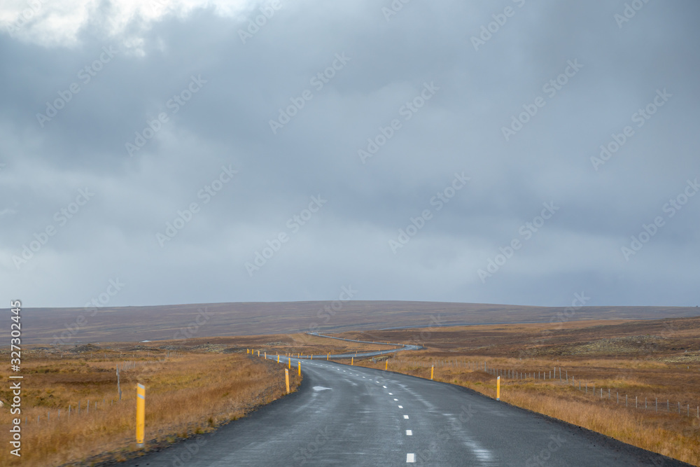 Fototapeta premium Highlands of Iceland empty road curving through sparse vegetation