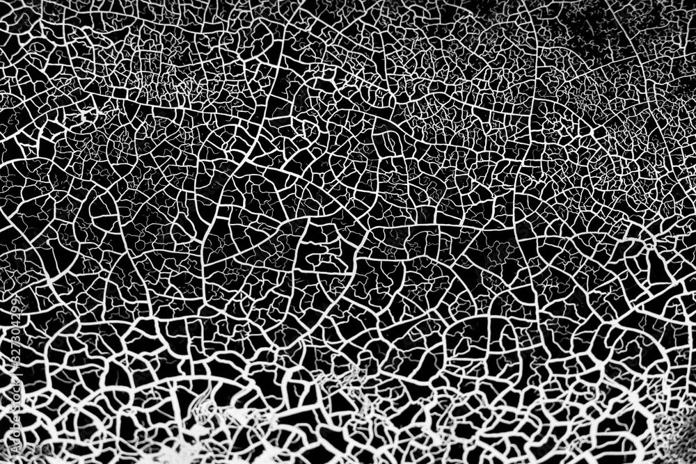 Abstract background of white tangled lines on a black surface. Abstract background of white tangled lines on a black surface.