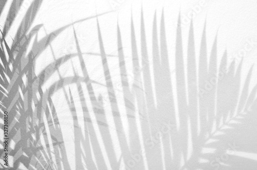 wall concrete background.Silhouette abstract tropical leaf natural pattern for wallpaper, spring ,summer texture.Black and white blurred image backdrop.