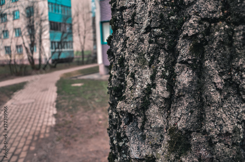 old alley in the park