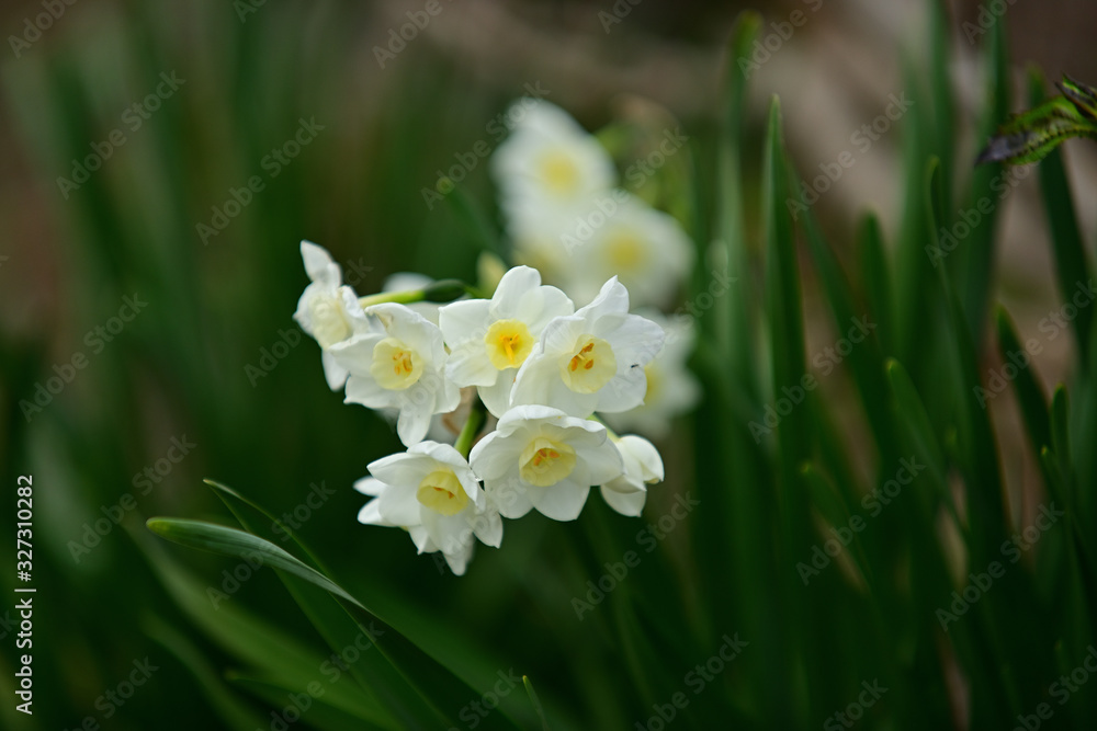 That flower just started blooming That flower just started blooming