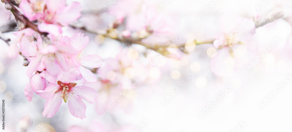 Fresh flowers. Spring background.