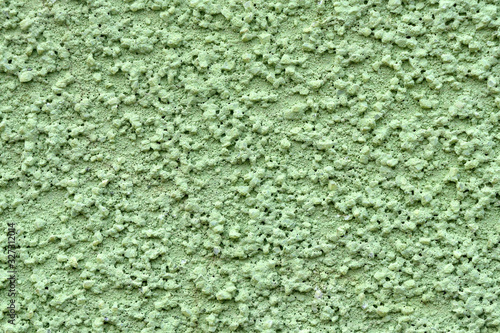 Light green rough cement plaster background