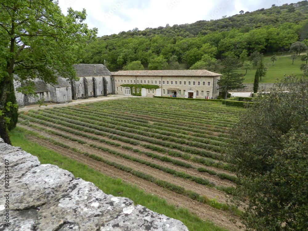 abbaye de sémanque abbaye de sémanque