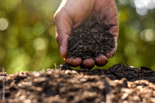 Loam in the hands of men for planting, soil texture background. photo