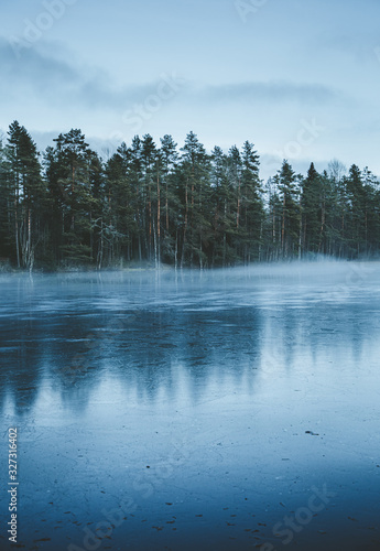 Foggy lake in the forest