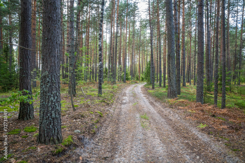 Nizhniy Novgorod Oblast, Russia © Max Dawncat