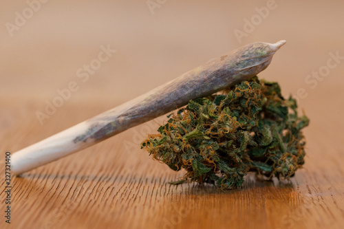 Rolled cannabis joint leaned on flower