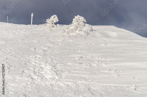 Połonina wetlińska w zimowej szacie © wedrownik52