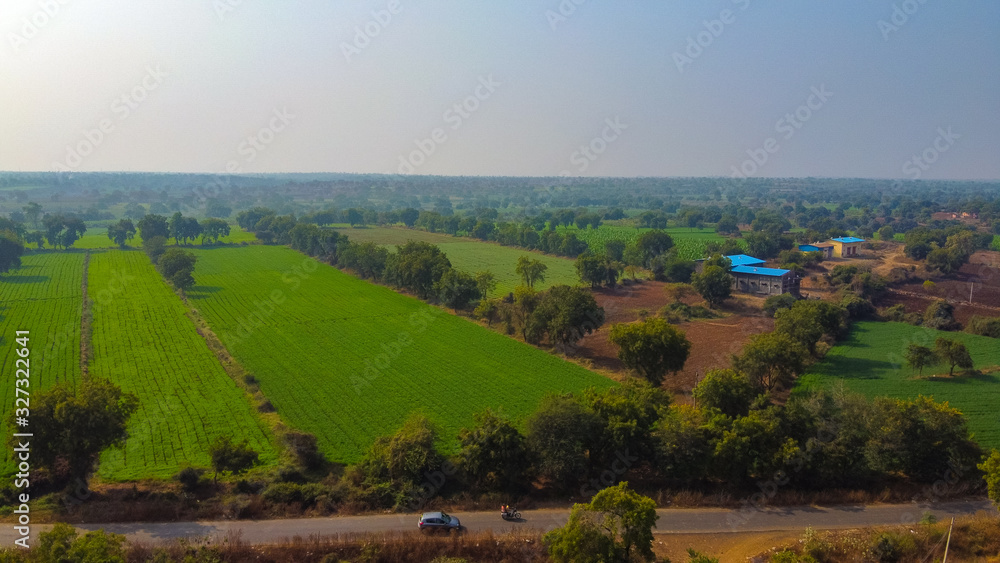 Arial top view of agriculture field 