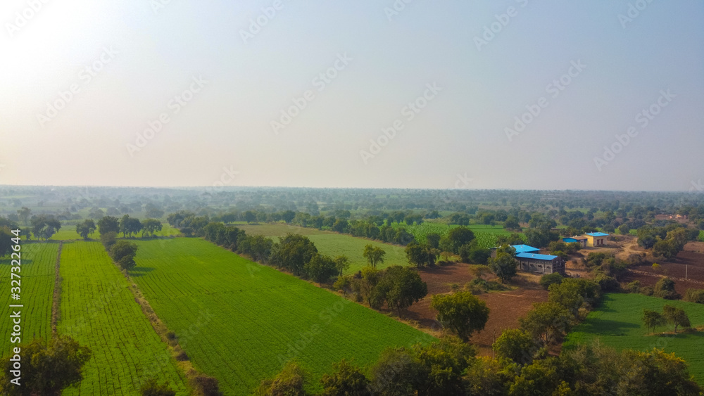 Arial top view of agriculture field 