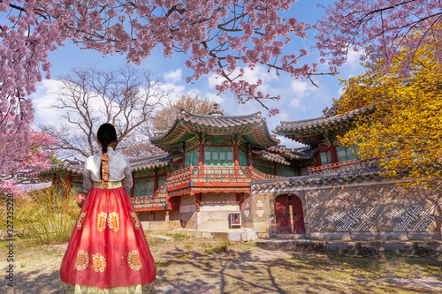 Changdeokgung Palace with Korean national dress and cherry blossom in spring,South Korea