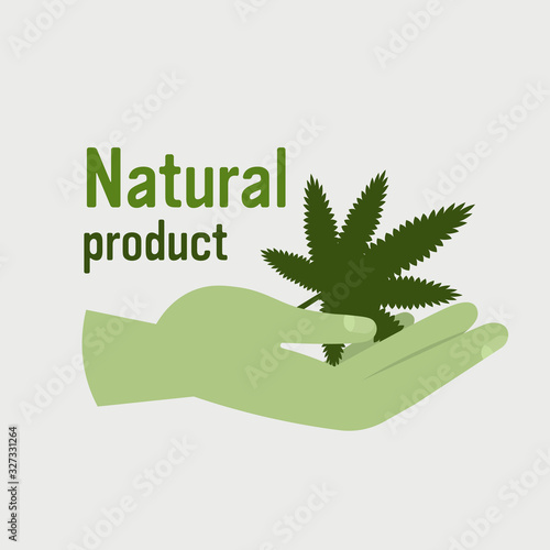 human hand holding medical cannabis or marijuana leaf natural product ganja legalize drug consumption concept vector illustration