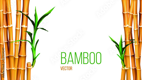 Background design with golden bamboo and green leaves illustration