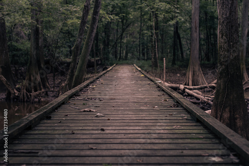 Wooden way in deep forest