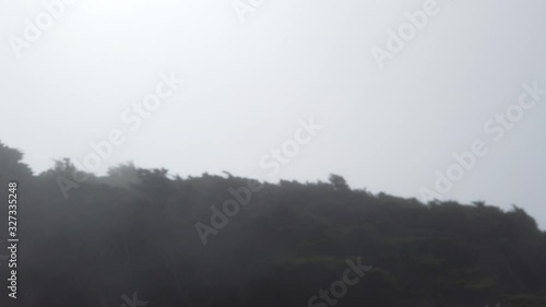 Defocused trees in fog slowly focusing on a cloudy day