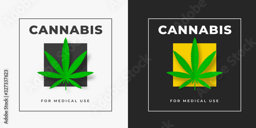 Sativa and indica cannabis vector logo template on white and black background, squared.