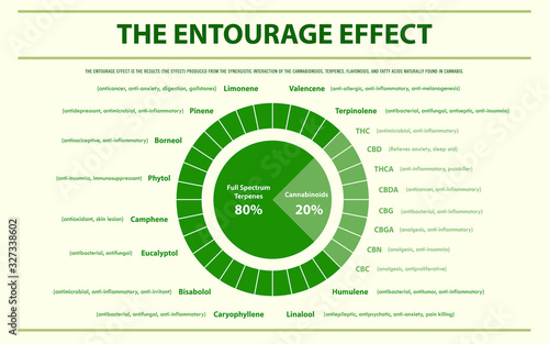The Entourage Effect Proportion horizontal infographic illustration about cannabis as herbal alternative medicine and chemical therapy, healthcare and medical science vector.