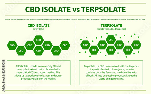 CBD Isolate vs Terpsolate horizontal infographic illustration about cannabis as herbal alternative medicine and chemical therapy, healthcare and medical science vector.