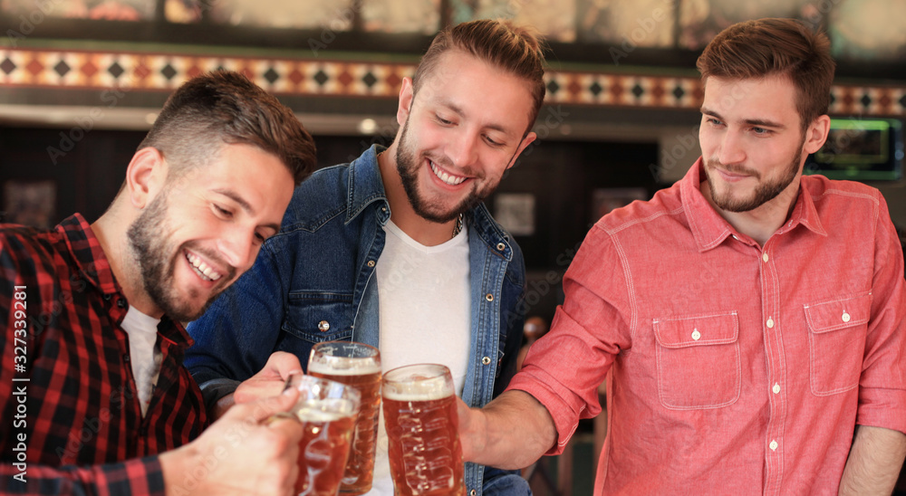 Watching football in bar. Happy friends drinking beer and cheering for favorite team, celebrating victory. Watching football in bar. Happy friends drinking beer and cheering for favorite team, celebrating victory.