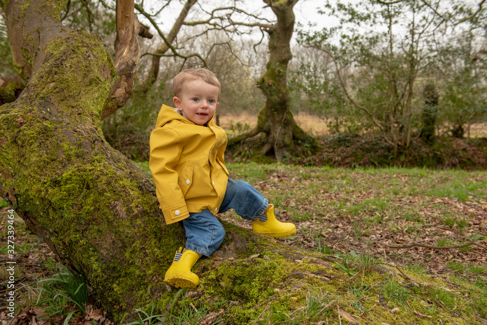 Two year old boy in yellow raincoat and welly boots playing outdoors Two year old boy in yellow raincoat and welly boots playing outdoors
