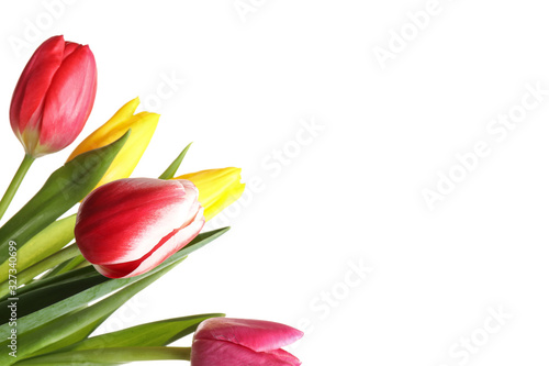 Fototapeta Naklejka Na Ścianę i Meble -  Beautiful bright spring tulips on white background