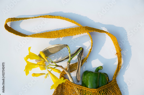 A preferable alternative to disposable plastic. plant in Handmade String Bag from organic Hemp.