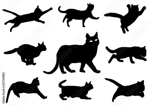 Cats silhouette, vector file