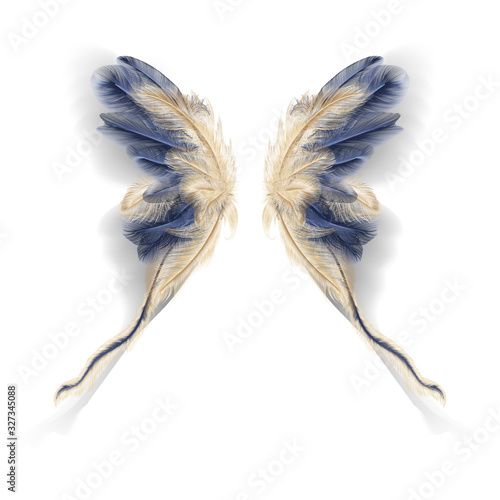 Butterfly wings with feathers. Modern  abstract art Golden Feather. Vector illustration.
