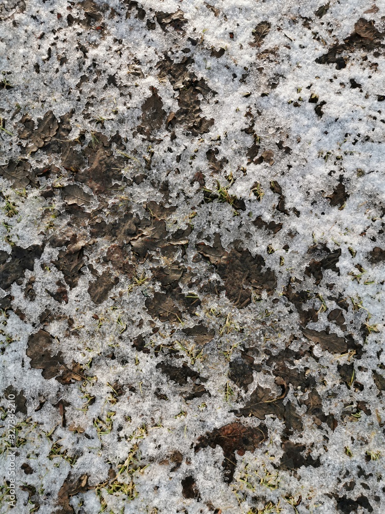 Melted snow in the spring with brown leaves, spring in March.Dirty snow.Little snow on the ground.Spring in the countryside.Dirty foliage.Wet earth Melted snow in the spring with brown leaves, spring in March.Dirty snow.Little snow on the ground.Spring in the countryside.Dirty foliage.Wet earth