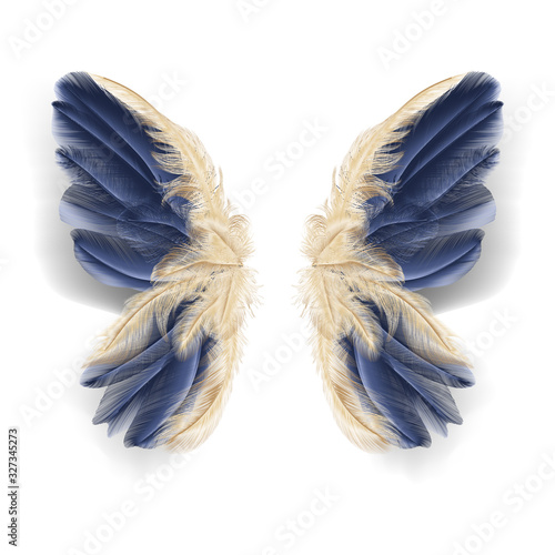 Butterfly wings with feathers. Modern  abstract art Golden Feather. Vector illustration.