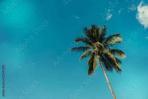 coconut tree and sky with clouds  vintage effect.