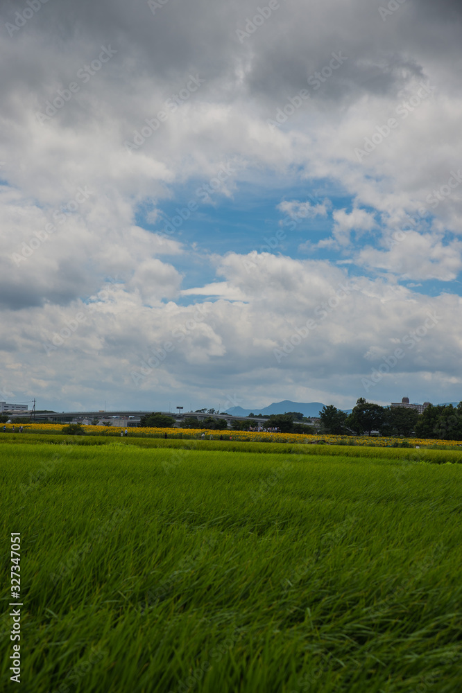 田園風景 田園風景