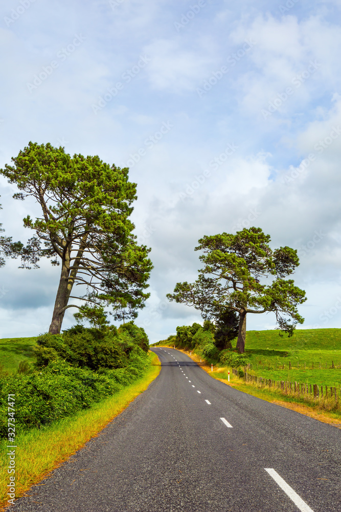 Naklejka premium Way to Rotorua
