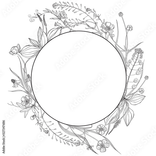 Wreath with wildflowers and herbs on white. Round frame with space for text. Invitation, greeting card or an element for your design. Vector.
