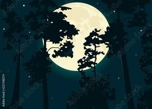 Pine trees against the night sky