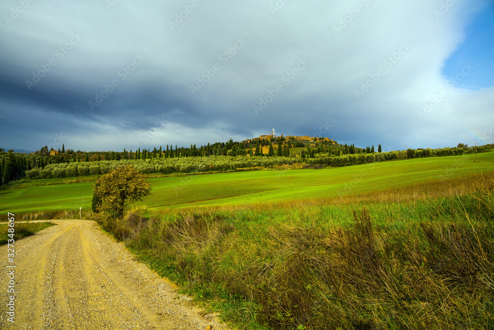 Naklejka premium Beautiful hills of the legendary Tuscany