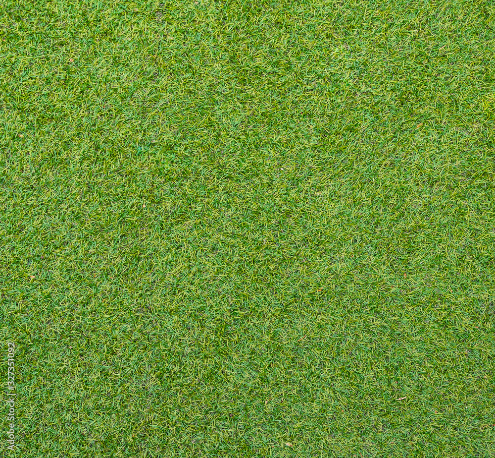 Fototapeta premium Grüner Rasen - Gras - Rasenfläche