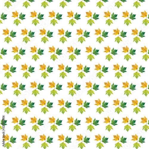 Different color maple leaves on white background. Autumn maple leaf copies. Creative fall season pattern.