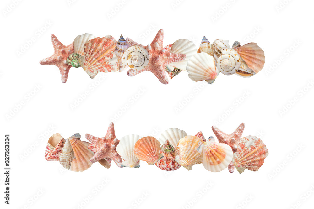 Obraz premium Seashells compositions- borders on white background