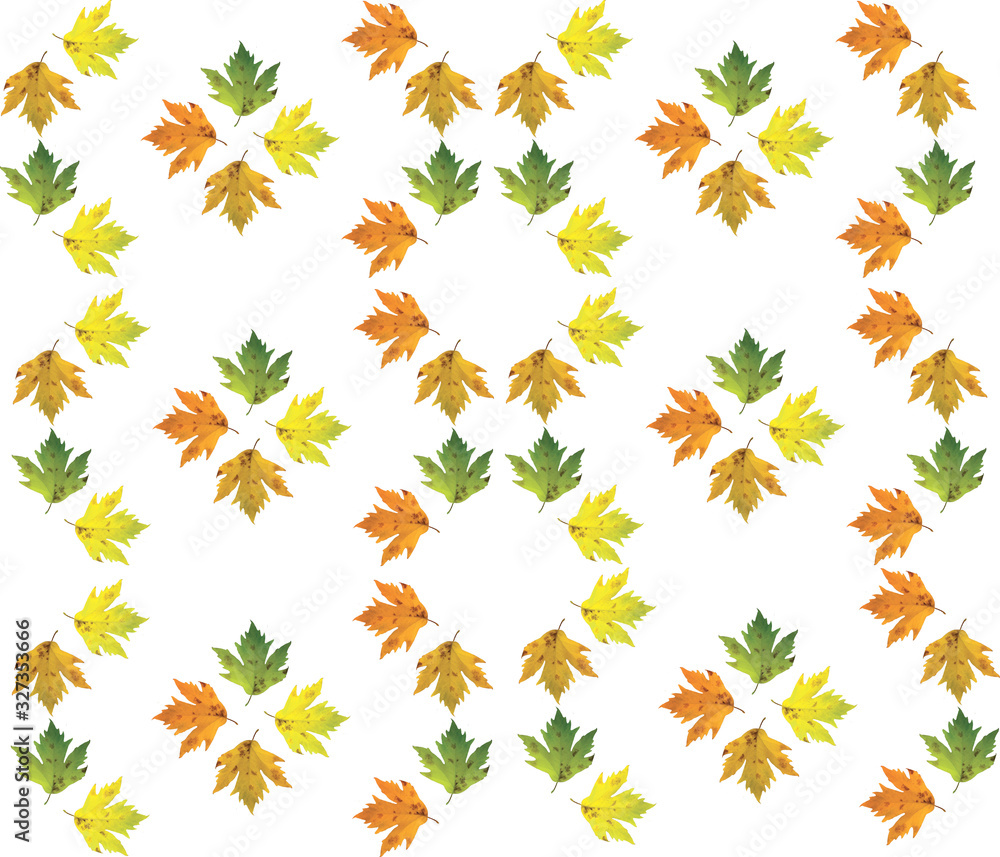 Different color maple leaves on white background. Autumn maple leaf copies. Creative fall season pattern. Different color maple leaves on white background. Autumn maple leaf copies. Creative fall season pattern.