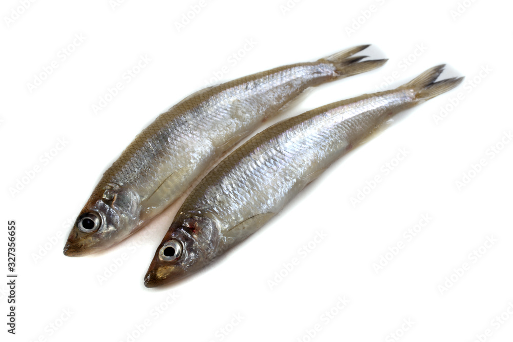 Smelt fish isolated on white. Pacific smelt variety Smelt fish isolated on white. Pacific smelt variety