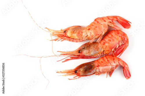 Big shrimps isolated on white