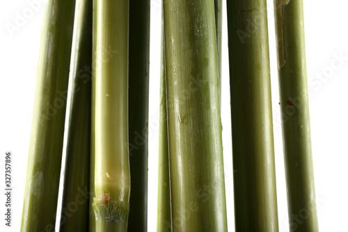 Fototapeta Naklejka Na Ścianę i Meble -  Sugar cane isolated on white