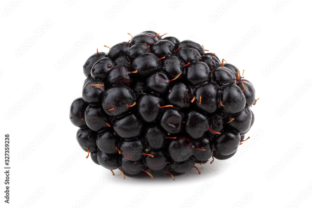 Blackberry isolated on white